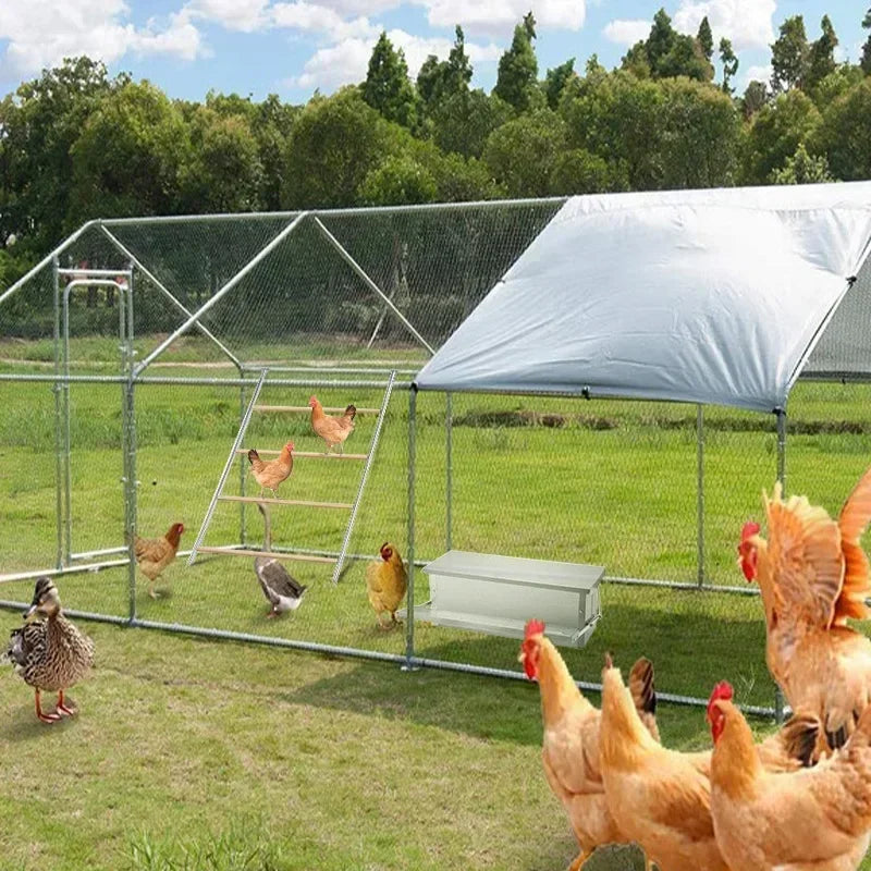 Chicken Coops Outdoor Rainproof Oversized Chicken and Rabbit Cages for Peacocks and Other Poultry