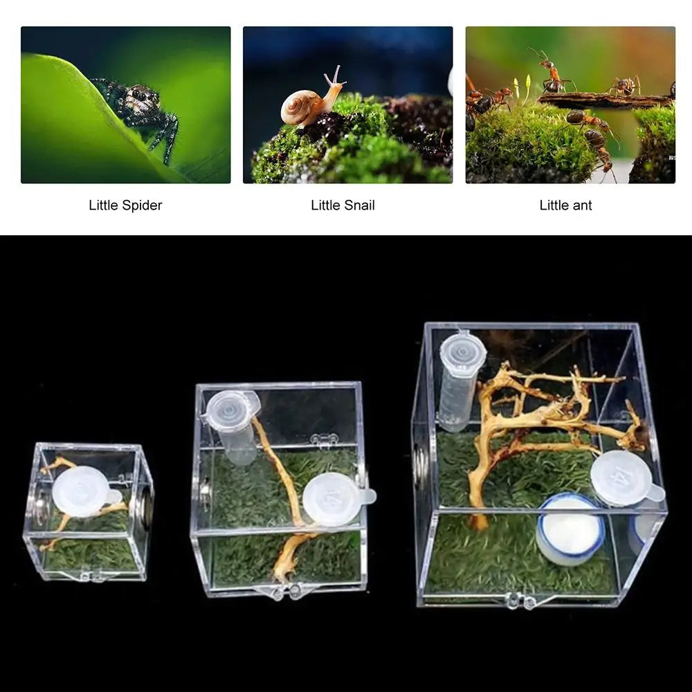 Jumping Spider Habitat Acrylic Breeding Box Cage for Spiders Small Insects