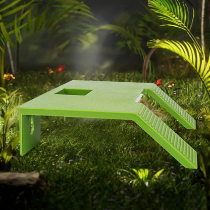 Tortoise Climbing Basking Platform Turtle Tank Floating Basking Platform For Aquatic Turtles Terrace