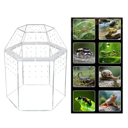 Jumping Spider Enclosure Acrylic Tortoise Enclosure Full Transparency Bug Terrarium for Spiders Tarantulas Snail Lizard Reptiles