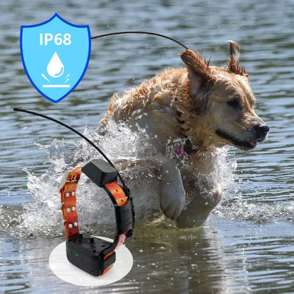 High end 4G hunting tracker dog tracking gps pet collar for pets（A tracking mon-itor + A locator collar）