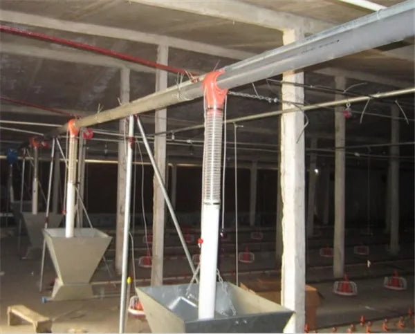 Chicken Feeding System In Broiler Coop Shed For Poultry Farm With Automatic Feeder And Drinker