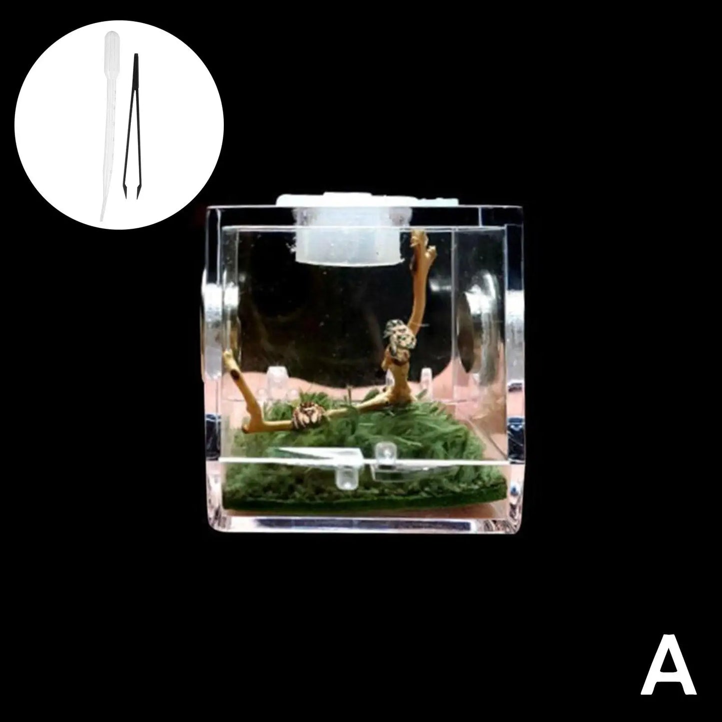 Small Reptile Feeding Box Transparent Acrylic Jumping Spider Breeding Box Habitat Small Insect Container Humidifier Feeding Box