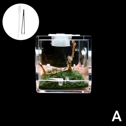 Small Reptile Feeding Box Transparent Acrylic Jumping Spider Breeding Box Habitat Small Insect Container Humidifier Feeding Box