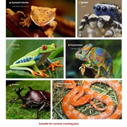 【E】Reptile Breeding Box Lizard Kennel Amphibian Terrarium Transparent Acrylic Feeding Cage Ecological Insect Spider Habitat