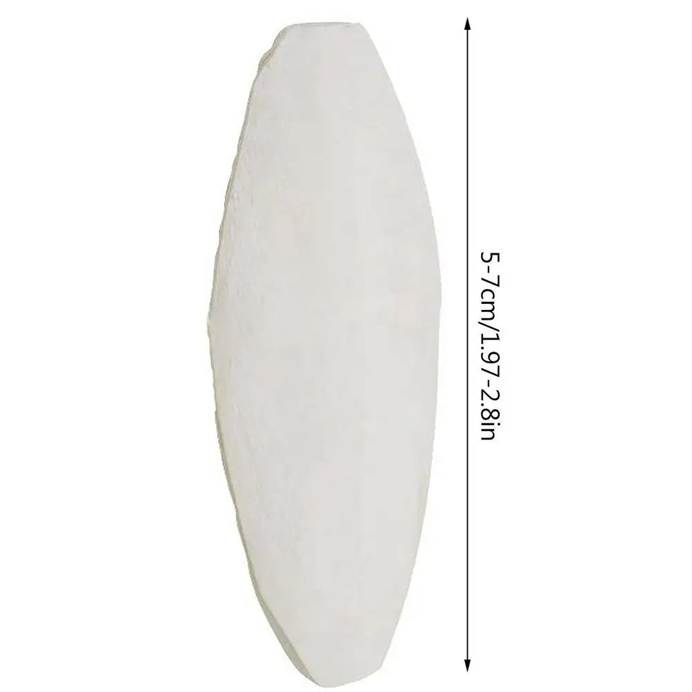 Bird Cuttlebone Toy 10pcs Chewing Cuttlefish Bone Natural Cuttlefish Bones Chew Toy for reptiles turtles turtles snails birds