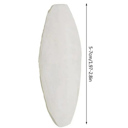 Bird Cuttlebone Toy 10pcs Chewing Cuttlefish Bone Natural Cuttlefish Bones Chew Toy for reptiles turtles turtles snails birds