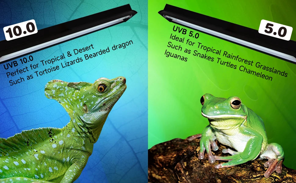 T5 HO UVB Lighting Combo Kit,Reptile Light Fixture with UVB 10.0 Tube Ideal for Bearded Dragon Lizard and Tortoise in Tropical