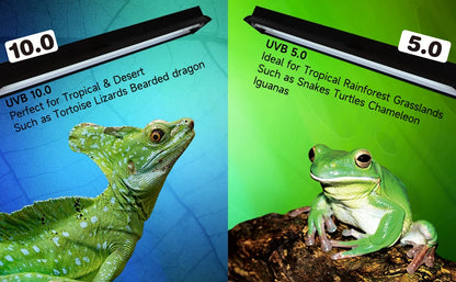 T5 HO UVB Lighting Combo Kit,Reptile Light Fixture with UVB 10.0 Tube Ideal for Bearded Dragon Lizard and Tortoise in Tropical