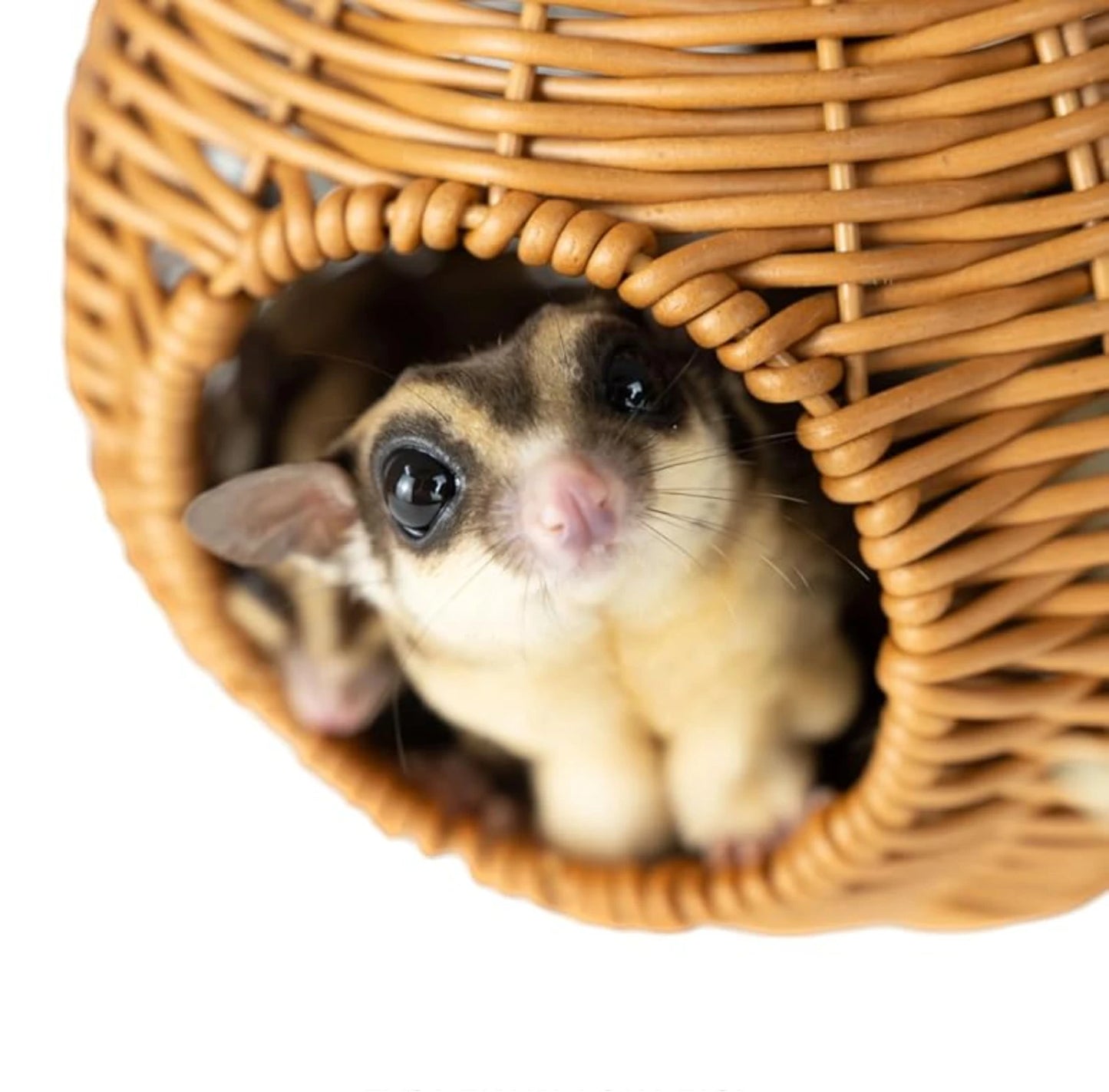 Sugar Glider Pouch Pet Glider Cage Sleep Bag for Small Animals Squirrels Marmosets Rats Hamsters Metal Frame PP Rattan Durable