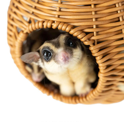 Sugar Glider Pouch Pet Glider Cage Sleep Bag for Small Animals Squirrels Marmosets Rats Hamsters Metal Frame PP Rattan Durable