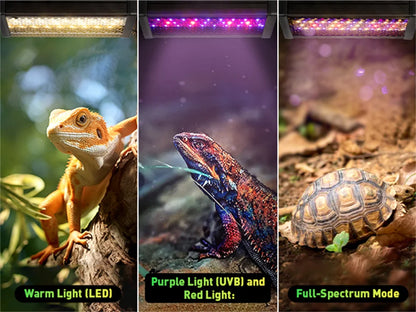 AC100-240V Dimmable LED Reptile UVB light 10W 6H/10H/12H  Timer Snake Turtle Pet Full Spectrum Basking UV Light Heating Lamp 20W