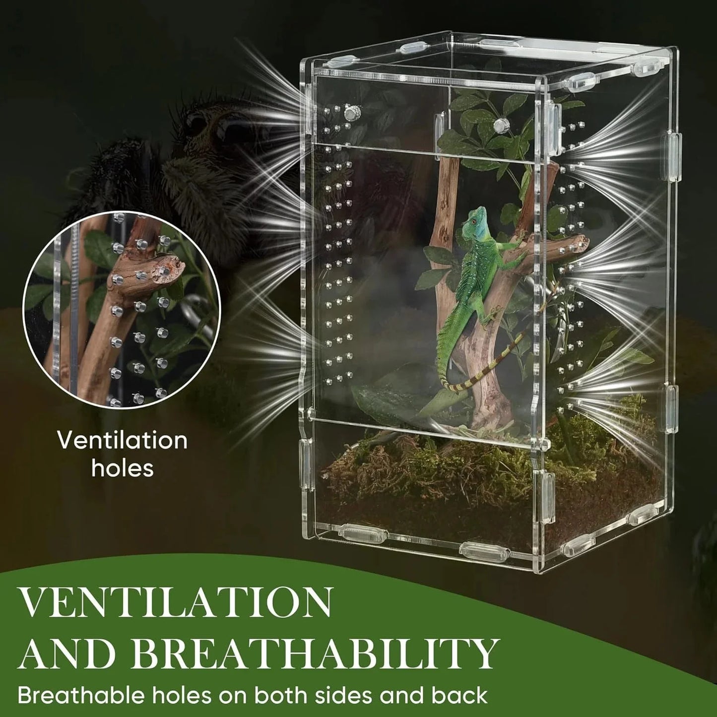 High Clear Acrylic Jumping Spider Terrarium For Insects Frogs Reptiles Pet Enclosure Ideal For Home Table Decor Hobbyists