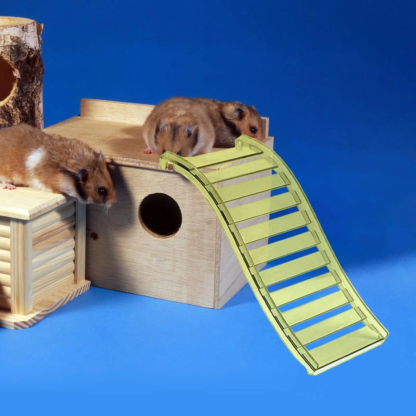Hamster Ladder Hut Accessory for Platform Stable for Cage Decor Bridge for Hedgehog Small Pets Small Animals Rats Gerbils