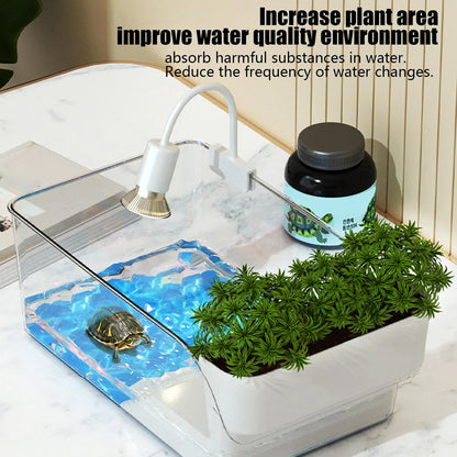 Turtle Tank with Basking Area Transparent Reptile Terrarium Habitat for Pet Turtles Hermit Crabs Tortoise Aquatic Amphibians