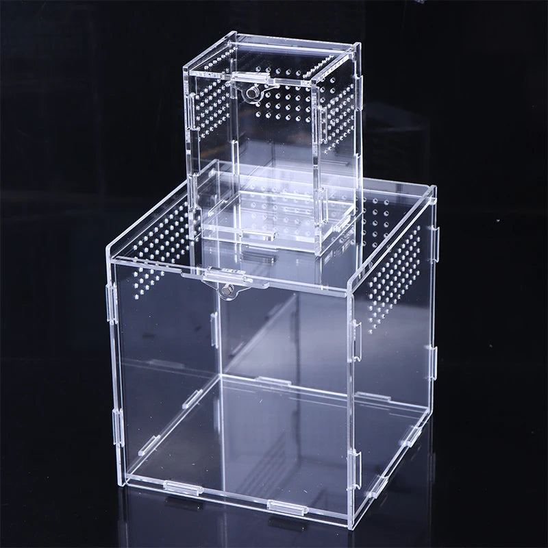 Acrylic Transparent Reptile Breeding Box Terrarium Habitat Insect Spider Lizard Scorpion Feeding Cage Arboreal Enclosure Case