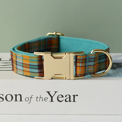 Luxury Dog Leash and Collar ，retractable walking collar for small and big pet .