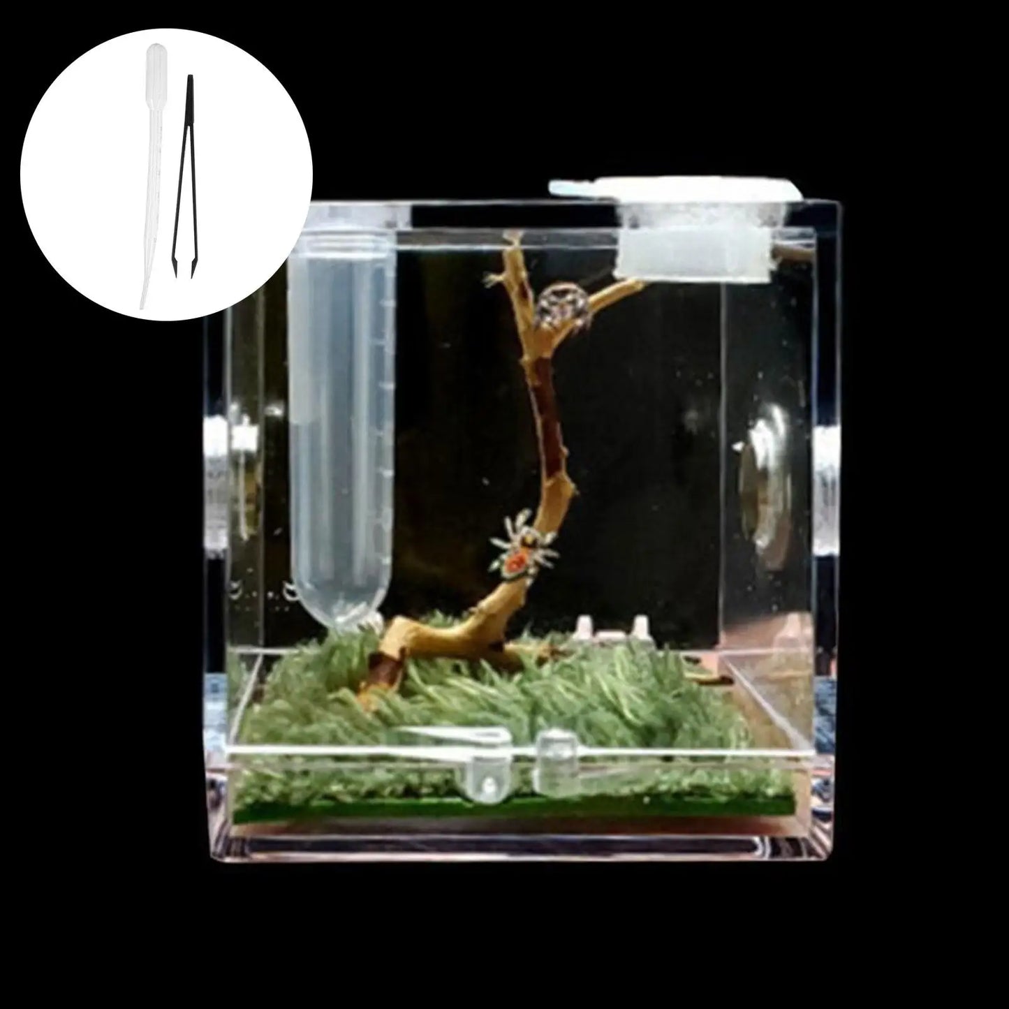 Small Reptile Feeding Box Transparent Acrylic Jumping Spider Breeding Box Habitat Small Insect Container Humidifier Feeding Box