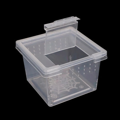 Reptile Accessories Transparent for Scorpion Spider Ants Lizard Living Box Hatching Tank Insect Feeding Box Reptile Habitat