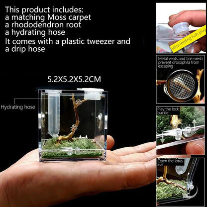 Small Reptile Feeding Box Transparent Acrylic Jumping Spider Breeding Box Habitat Small Insect Container Humidifier Feeding Box