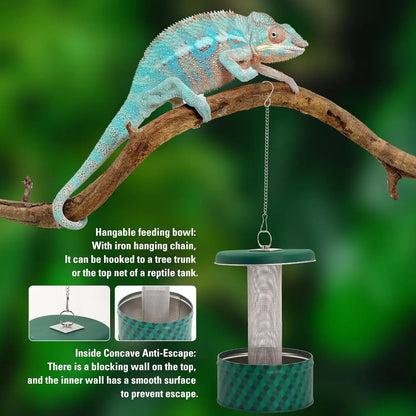 Bearded Dragon Feeder Chameleon Bug Bowl Reptile Feeder Box Wall-Mounted Insect with Suction Cups Tank and Aquarium Accessories