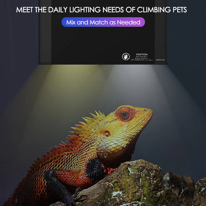 Large Reptile Turtle Feeding Box Rainforest Tank UVA Sun Lamp UVB Heating Integrated Dual Lampshade Amphibians Lighting