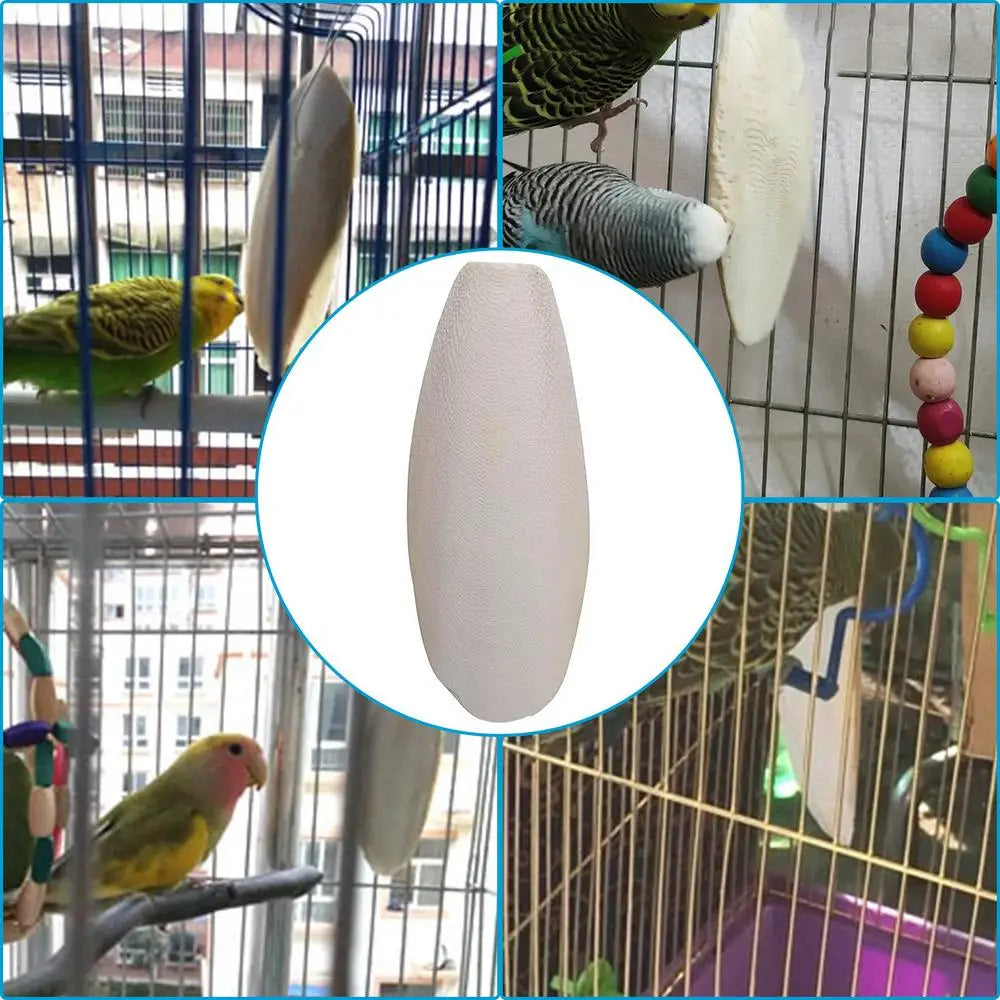 Bird Cuttlebone Toy 10pcs Chewing Cuttlefish Bone Natural Cuttlefish Bones Chew Toy for reptiles turtles turtles snails birds