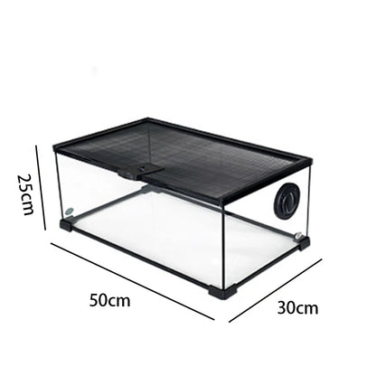 Reptile Terrariums Glass Landscaping Ecological Tank Amphibious Habitat Breeding Box Lizard Turtle Transparent Display Tanks