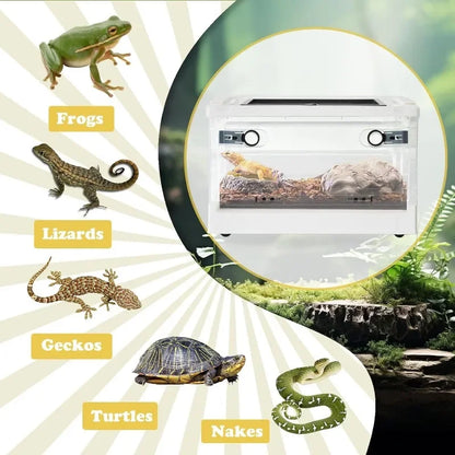 Reptiles Breeding Enclosure Cages Transparent Amphibians Habitat Box Plastic Reptile Feeding Box for Lizard Bearded Dragon