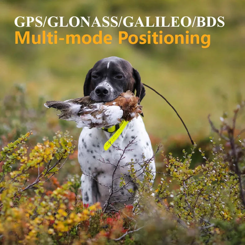 High end 4G hunting tracker dog tracking gps pet collar for pets（A tracking mon-itor + A locator collar）