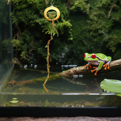 Jumping Spider Terrarium Hideouts With Extended Climbing Strip Magnetic Jumping Spider Habitat Hideaway House Accessories