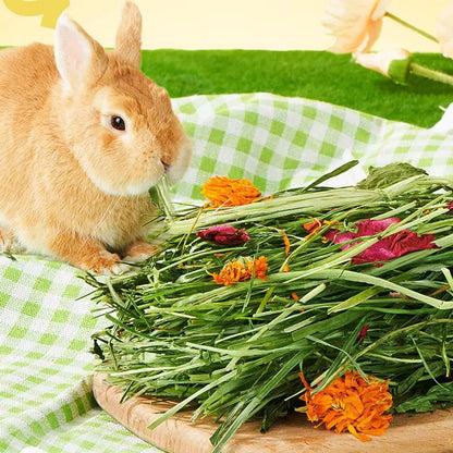 Rabbits Hay Bale Safe Natural Grass Hay Bedding For Hamster Healthy Pet Food Improves Digestion For Small Animal Gerbils
