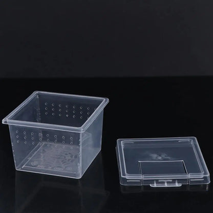 Reptile Accessories Transparent for Scorpion Spider Ants Lizard Living Box Hatching Tank Insect Feeding Box Reptile Habitat