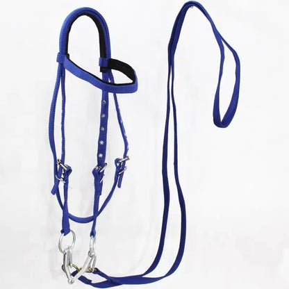 Horse Bridle Harness Set – PU Leather Headstall, Reins, Bit – Adjustable Equestrian Training Gear, Riding Accessories for Horses