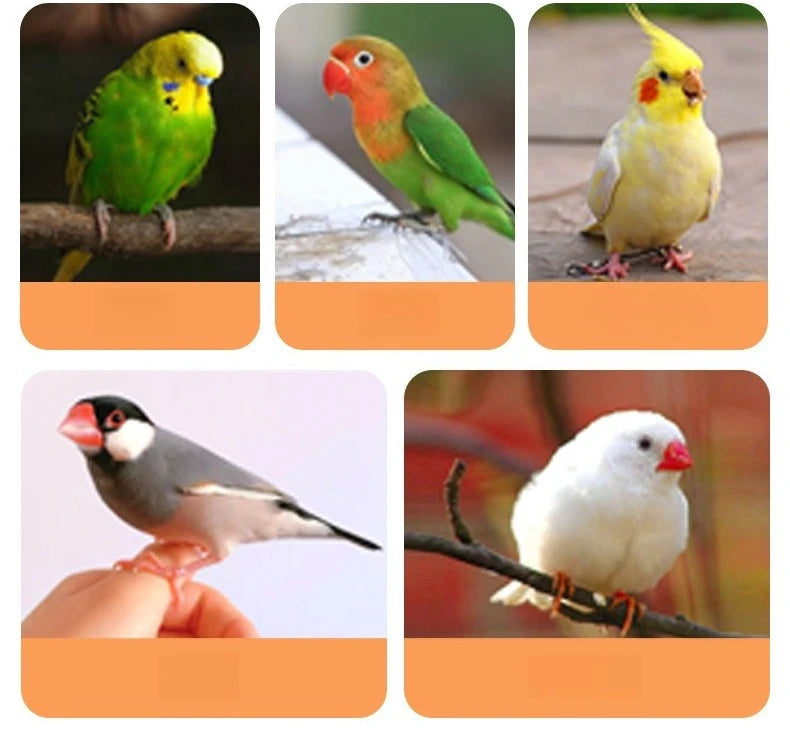 Luxury Bird Cage Large Parrot Birds Cages Accessories Drawer Wheels Birds Houses Lock Parrots Pigeon Feeder Birdcage Supplies