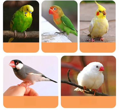Luxury Bird Cage Large Parrot Birds Cages Accessories Drawer Wheels Birds Houses Lock Parrots Pigeon Feeder Birdcage Supplies