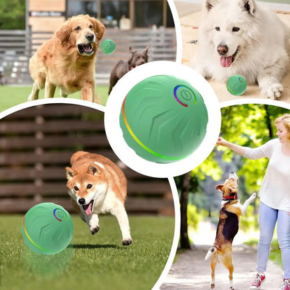 Rolling Ball Dog Toy Automatic Interactive Toy Pet Toy Ball USB Rechargeable Dog Chew Ball Pet Supplies For Backyard Park Garden