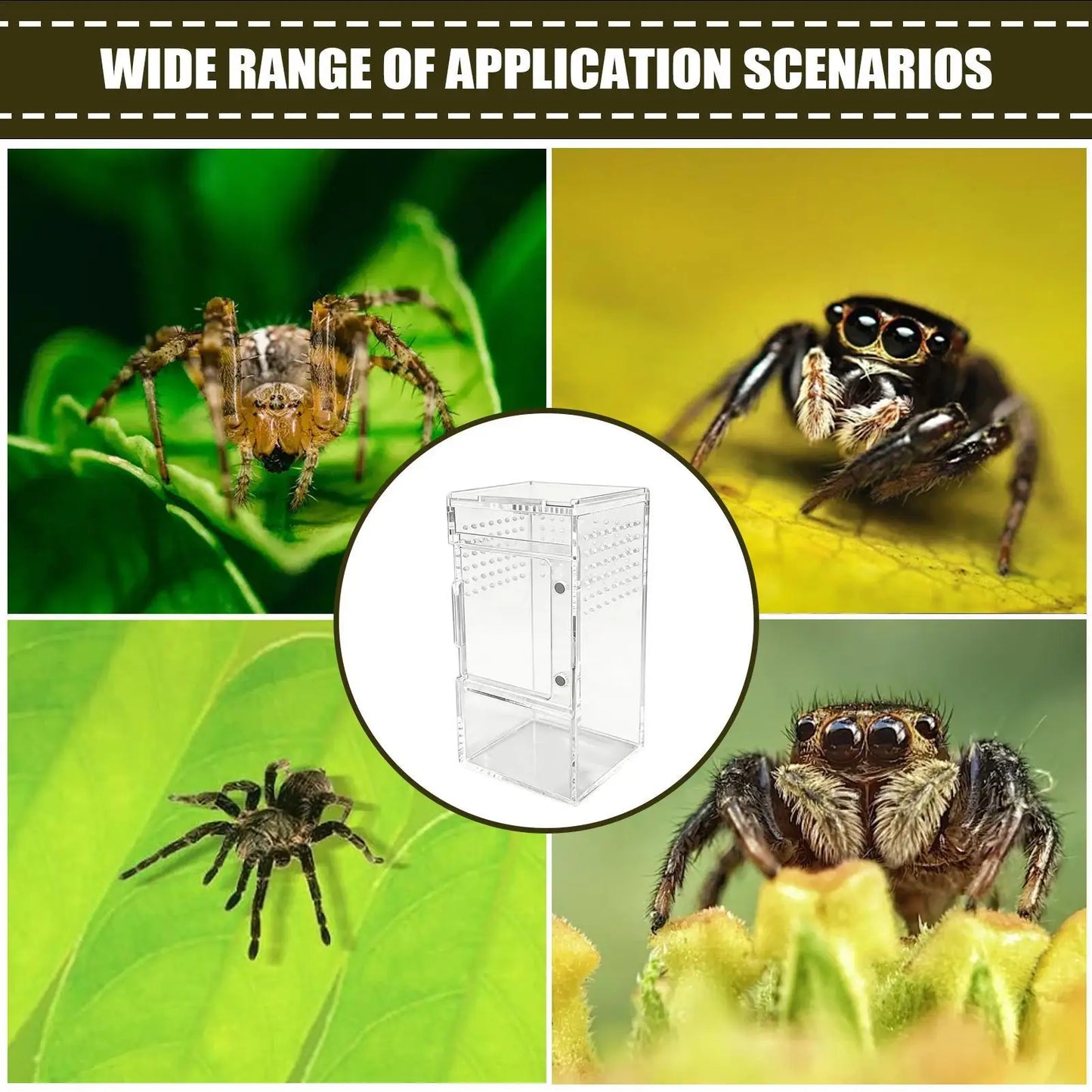 Spider Enclosure Clear Acrylic Reptile Box with Vent Sliding Lid Cage for Jumping Spider Tortoise Snake Gecko Crab Habitat
