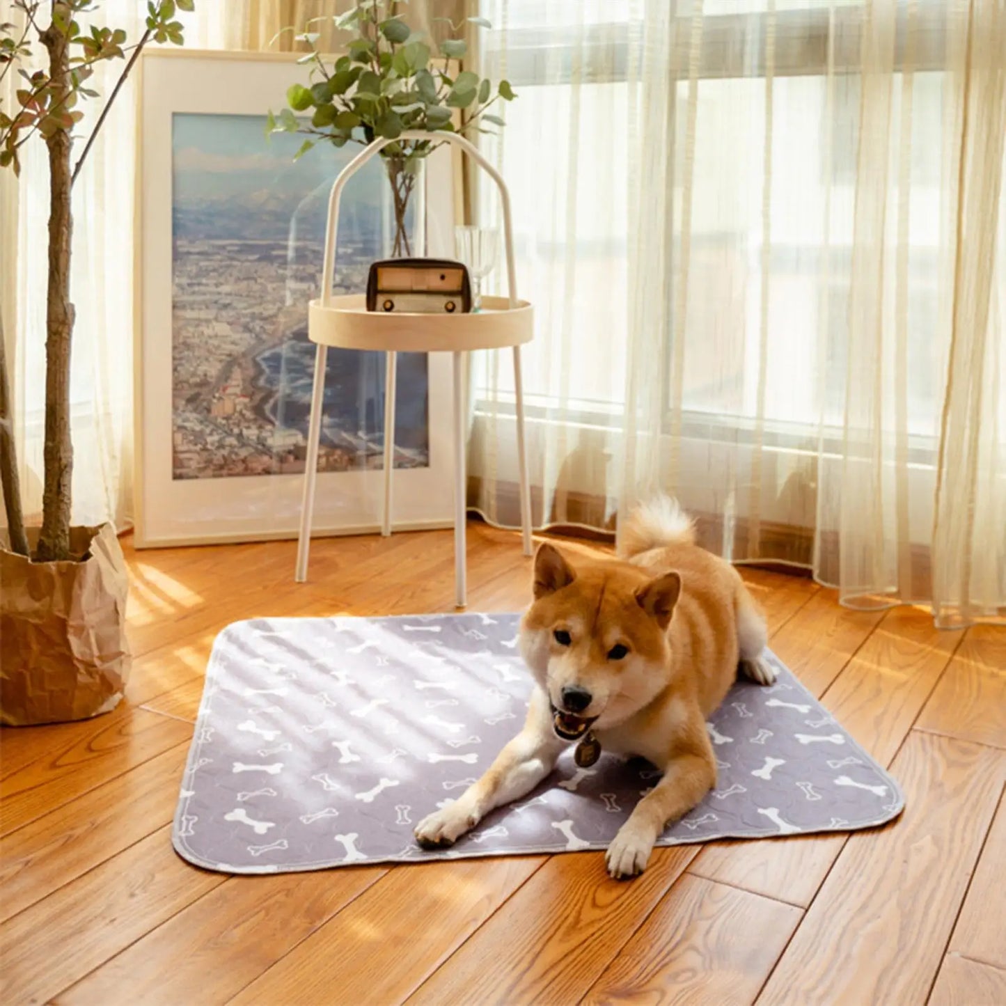 Dog Pee Pads Fast Absorbent Pet Training Mat Reusable Washable Absorbent Pee Pads For Home Potty Playpen Crate Litter pad