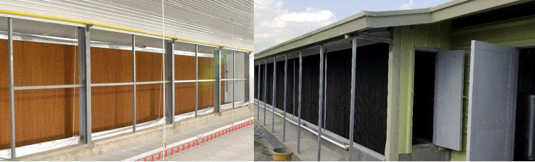 Chicken Feeding System In Broiler Coop Shed For Poultry Farm With Automatic Feeder And Drinker