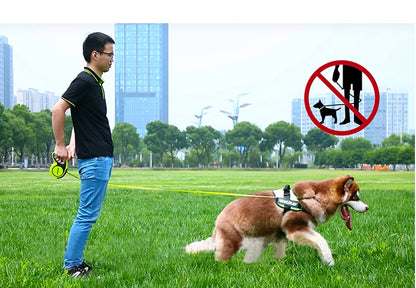 5M Luxury Pet Dog Leashes Retractable Dog Leash For Large  Medium Dogs Cat Puppies Accessories Small Automatic Extension Lanyard