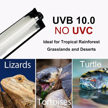 T5 HO UVB Lighting Combo Kit,Reptile Light Fixture with UVB 10.0 Tube Ideal for Bearded Dragon Lizard and Tortoise in Tropical