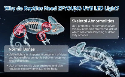 Heat Reptile Light Full Spectrum Uvb Breeding Box Heating Lamp Turtle Lizard Terrarium Basking Lamp Reptile Pet Habitat Light