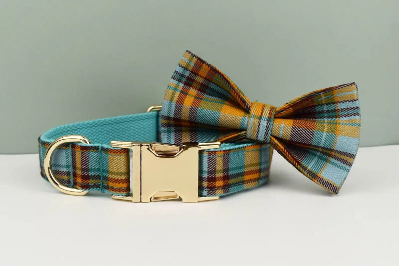 Luxury Dog Leash and Collar ，retractable walking collar for small and big pet .