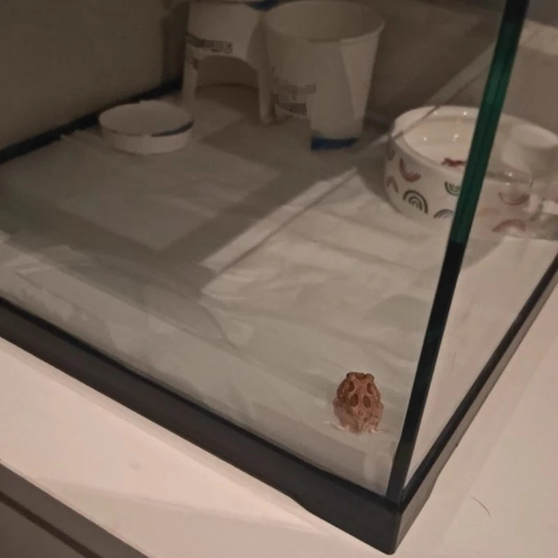 Professional glass reptile terrarium for chameleon,lizard,and snake,suitable for horned frog and water turtle,clear ventilation