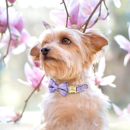 Custom Dog Collar Nylon Puppy Dog Collars With Cute Bowknot Engraved Pet Necklace Dog Collars For Small Medium Dogs Chihuahua