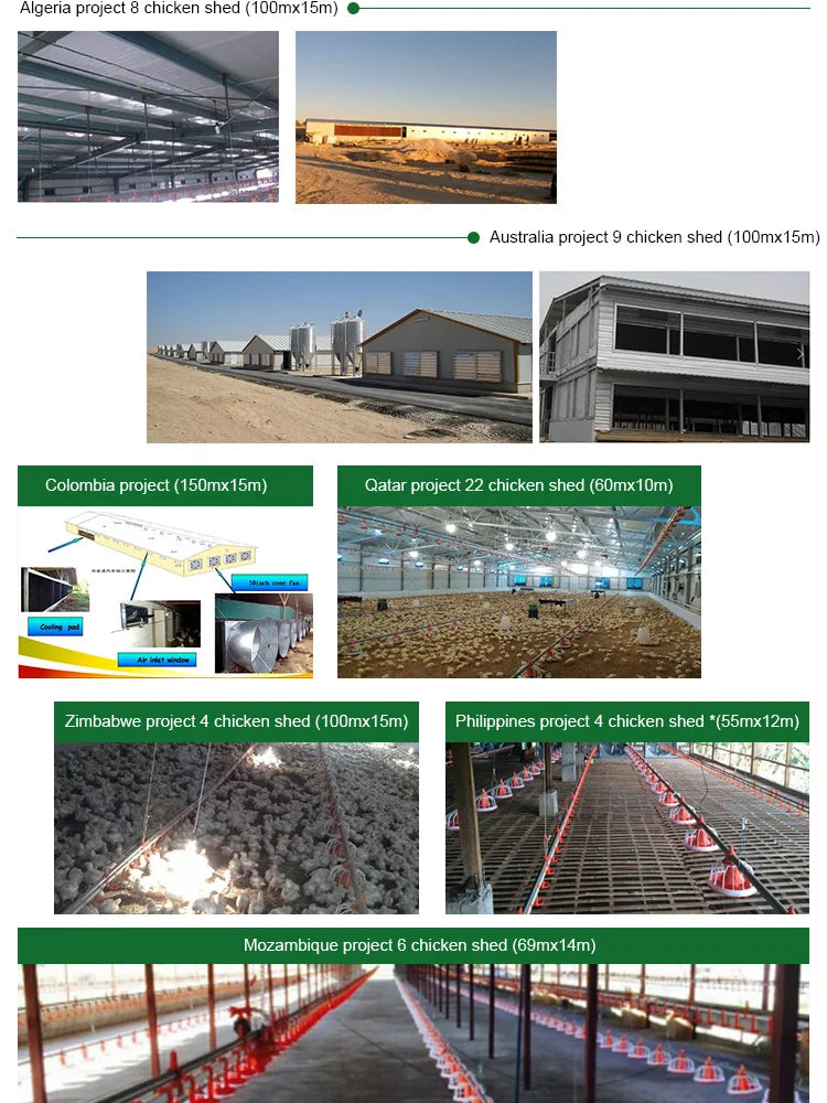 Chicken Feeding System In Broiler Coop Shed For Poultry Farm With Automatic Feeder And Drinker