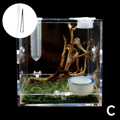 Small Reptile Feeding Box Transparent Acrylic Jumping Spider Breeding Box Habitat Small Insect Container Humidifier Feeding Box