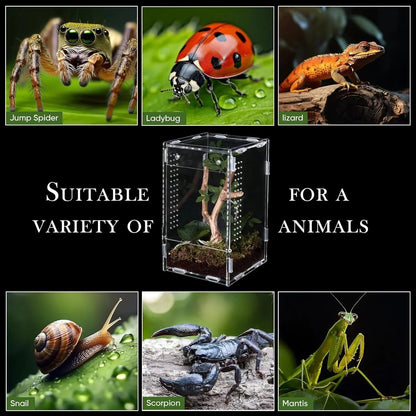 High Clear Acrylic Jumping Spider Terrarium For Insects Frogs Reptiles Pet Enclosure Ideal For Home Table Decor Hobbyists