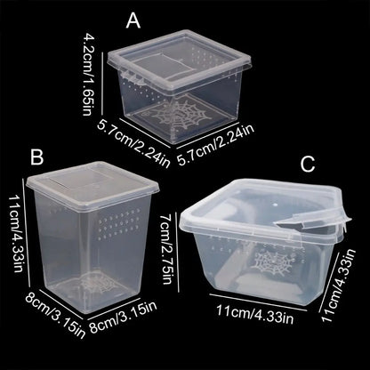 Reptile Accessories Transparent for Scorpion Spider Ants Lizard Living Box Hatching Tank Insect Feeding Box Reptile Habitat